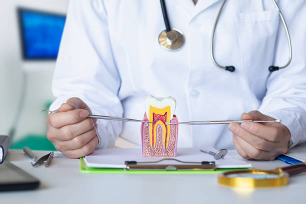 Best Pediatric Emergency Dentist in Country Club Hills, MO